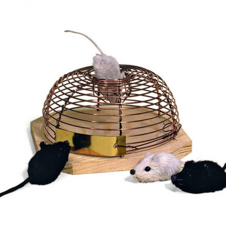 Piège à souris - 8 pièces - bois / métal - pièges à souris / clips pour  souris