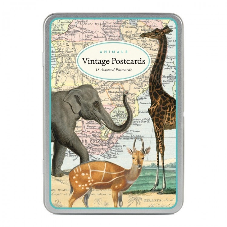 Cartes Postales Vintages Animaux Sauvages Botanique Editions