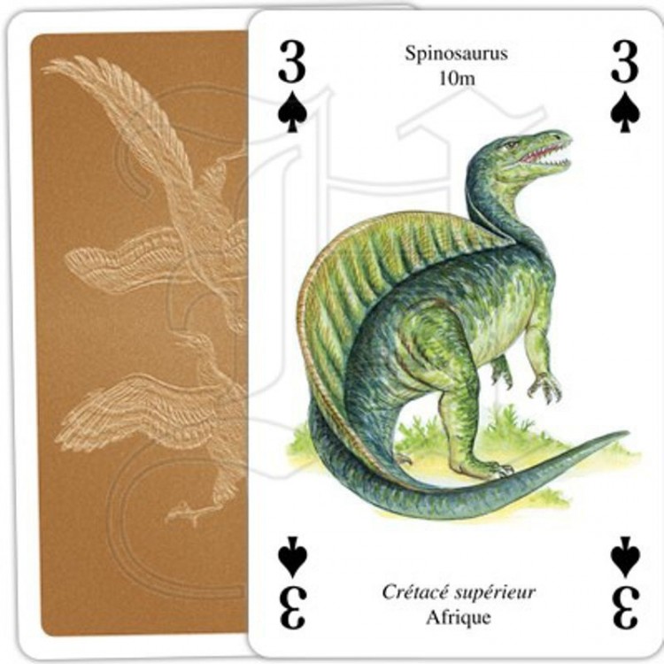 Le petit jeu des dinosaures - Jeux FK - Jeu de cartes et d'observation