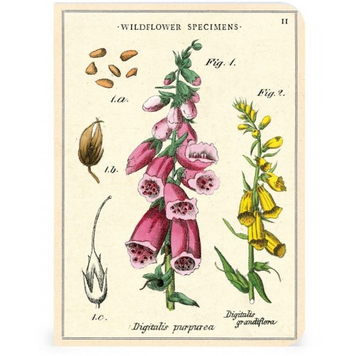 Carnet ligné A5 fleurs sauvages - Loisirs créatifs écolos/Carnets de  notes et cahiers - Môme des bois