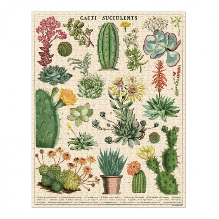 Puzzle planche botanique / Les arbres / 1000 pièces / Cavallini