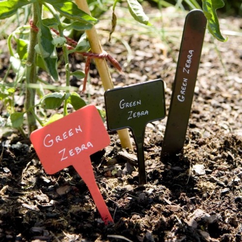 Etiquettes Plastique Vert - Etiquette de Jardin en Plastique - Botanique  Editions