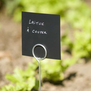 ÉTIQUETTES DE JARDIN, Étiquetage 300x plastique réutilisable