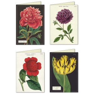 Carte Double avec Enveloppe Pagode à Bonnelles par Zega & Dams - Botanique  Editions