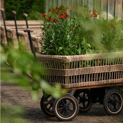 Chariot de jardin de Botanique Editions